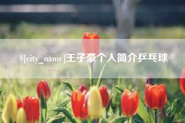 莘县王子豪个人简介乒乓球