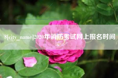 莘县2020年消防考试网上报名时间