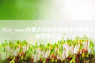 莘县内蒙古自治区消防技术服务执业管理平台