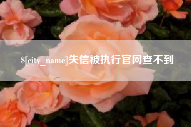 莘县失信被执行官网查不到