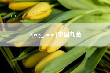 莘县中国九金