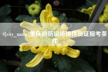 莘县重庆消防设施操作员证报考条件