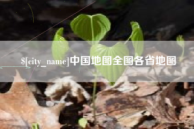 莘县中国地图全图各省地图