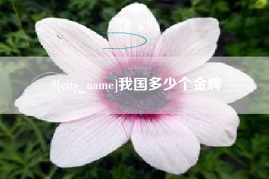 莘县我国多少个金牌