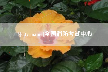 莘县全国消防考试中心