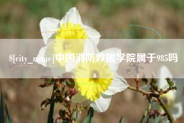 莘县中国消防救援学院属于985吗