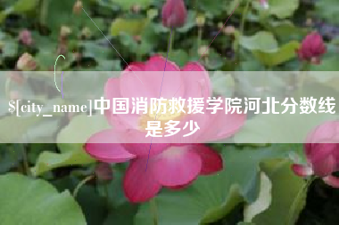 莘县中国消防救援学院河北分数线是多少