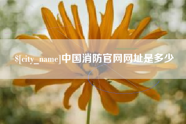 莘县中国消防官网网址是多少