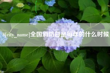 莘县全国消防日是每年的什么时候