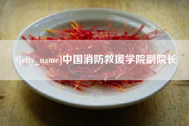 莘县中国消防救援学院副院长