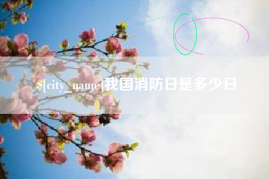 莘县我国消防日是多少日