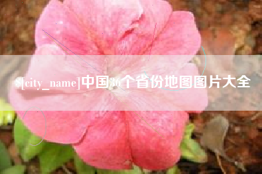 莘县中国36个省份地图图片大全