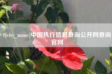 莘县中国执行信息查询公开网查询官网