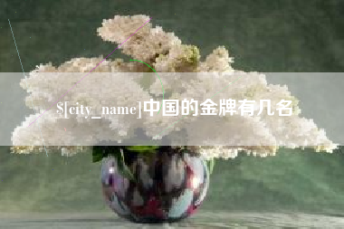 莘县中国的金牌有几名