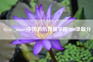 莘县中国消防救援学院2020录取分