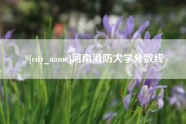 莘县河南消防大学分数线