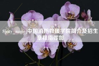 莘县中国消防救援学院简介及招生章程指挥部