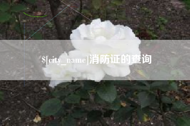 莘县消防证的查询
