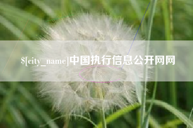 莘县中国执行信息公开网网