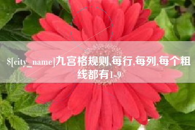 莘县九宫格规则,每行,每列,每个粗线都有1-9