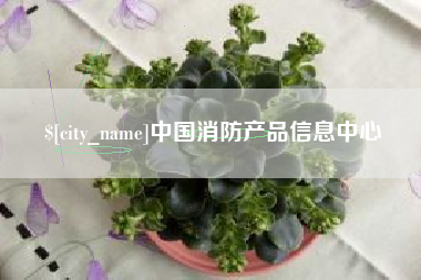 莘县中国消防产品信息中心