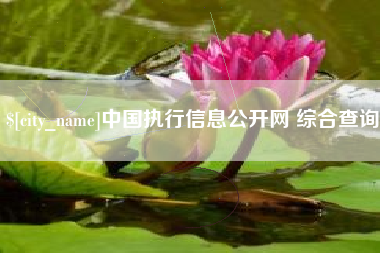 莘县中国执行信息公开网 综合查询