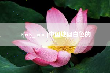 莘县中国地图白色的