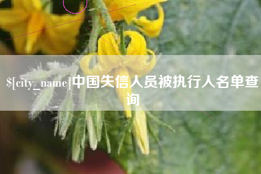 莘县中国失信人员被执行人名单查询