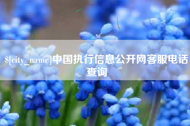 莘县中国执行信息公开网客服电话查询
