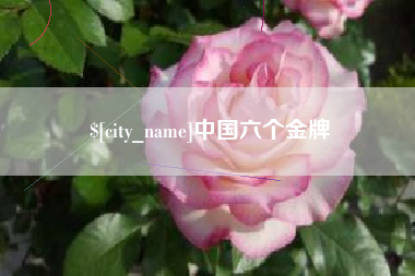 莘县中国六个金牌