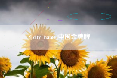 莘县中国金牌牌
