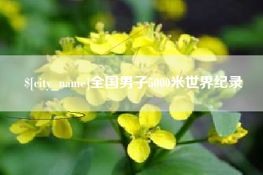 莘县全国男子5000米世界纪录
