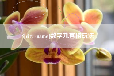 莘县数字九宫格玩法