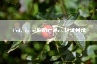 莘县消防产品cccf认证目录