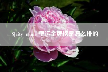 莘县奥运金牌榜是怎么排的
