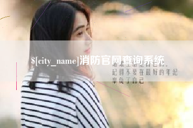莘县消防官网查询系统