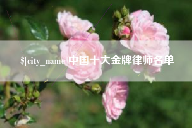 莘县中国十大金牌律师名单