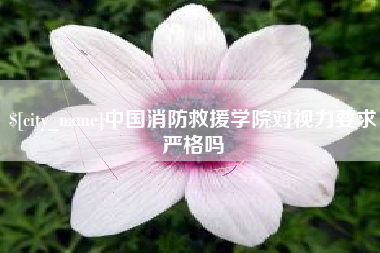 莘县中国消防救援学院对视力要求严格吗