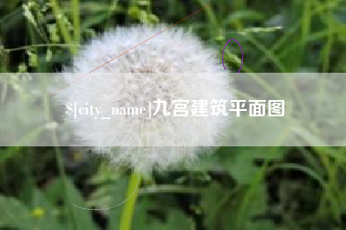 莘县九宫建筑平面图