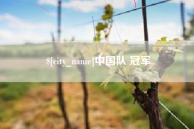莘县中国队 冠军