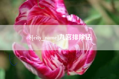 莘县九宫排除法
