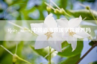 莘县中国消防救援学院管严吗