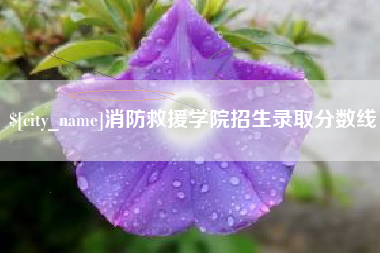 莘县消防救援学院招生录取分数线