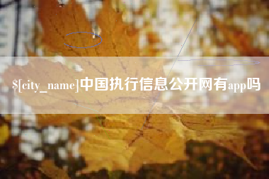 莘县中国执行信息公开网有app吗