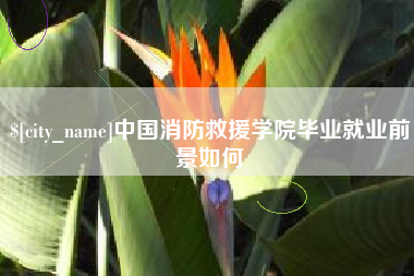 莘县中国消防救援学院毕业就业前景如何