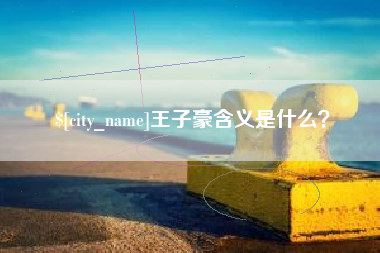 莘县王子豪含义是什么？