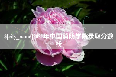 莘县2021年中国消防学院录取分数线