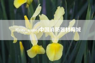 莘县中国消防器材商城