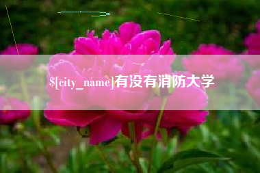 莘县有没有消防大学