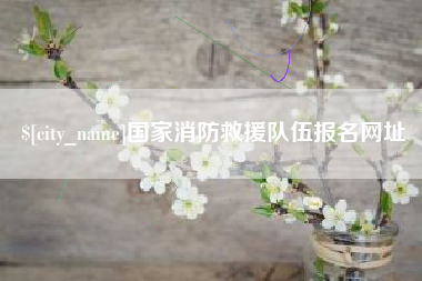 莘县国家消防救援队伍报名网址